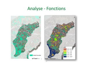 Analyse - Fonctions
21
IE – PB 1 – 2019-2021
 
