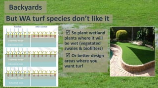 But WA turf species don’t like it
 So plant wetland
plants where it will
be wet (vegetated
swales & biofilters)
 Or better design
areas where you
want turf
Backyards
 