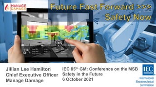Jillian Lee Hamilton
Chief Executive Officer
Manage Damage
IEC 85th GM: Conference on the MSB
Safety in the Future
6 October 2021
 