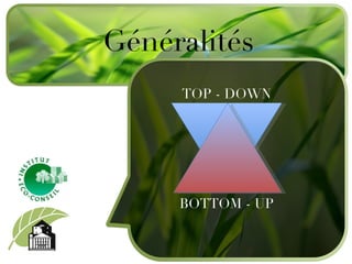 Généralités TOP - DOWN BOTTOM - UP 