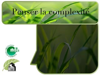 Penser la complexité 