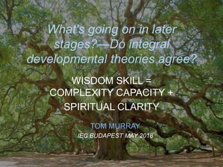 Wisdom Development What's going on in later stages?—Do integral developmental theories ...
