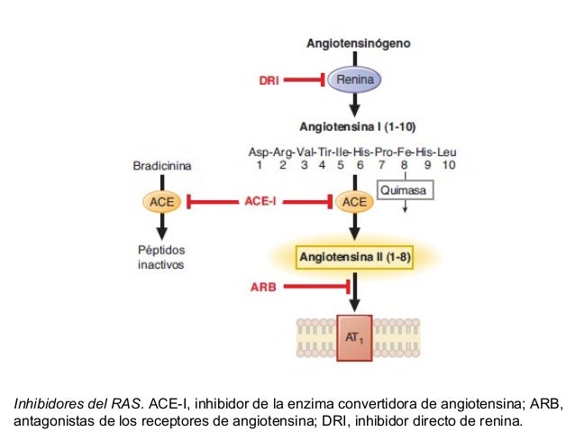 Inhibidores de la enzima convertidora de angiotensina (IECA) y antago…