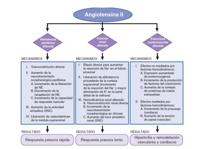 Inhibidores de la enzima convertidora de angiotensina ...