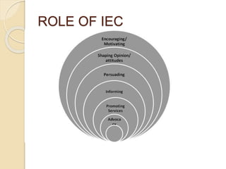 Iec Structure Iec final | PPTX
