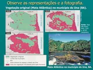 Observe as representações e a fotografia.
Vegetação original (Mata Atlântica) no município do Una (BA).




                                                           Mário Yoshida
                                                                   Fonte: Veja.
                                                                   São Paulo:
                                                                   Abril, 1197.
                                                                   p. 82-83
                                                                   (adaptado).




                               Mata Atlântica no município do Una, BA.
 