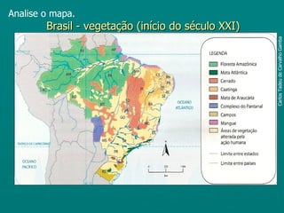 Analise o mapa.
        Brasil - vegetação (início do século XXI)




                                                    Carlos Tadeu de Carvalho Gamba
 