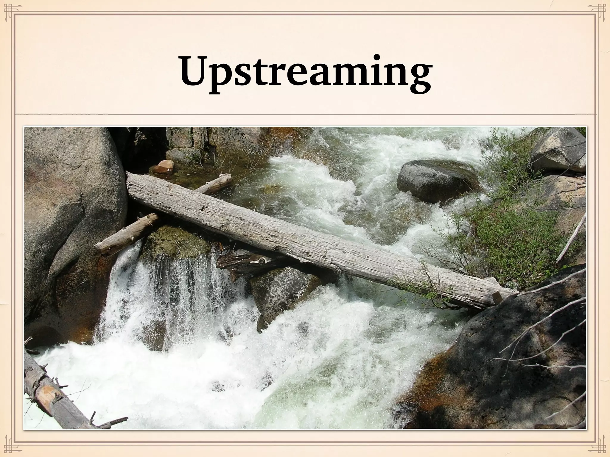 Participants & Contributors
 