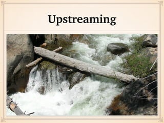 Participants & Contributors
 