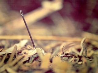 IFF - Ied for Future - FabLab