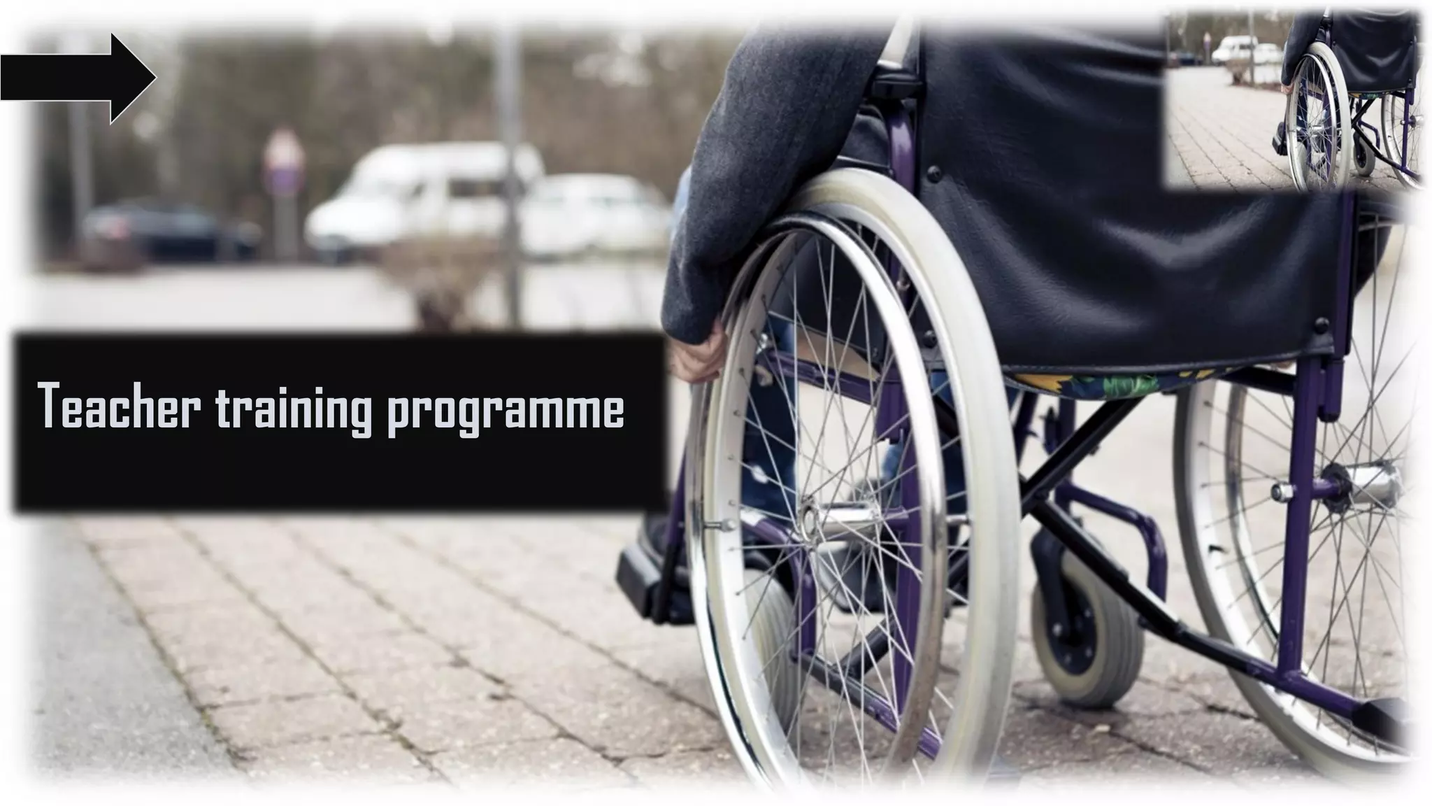 Teacher training programme
 