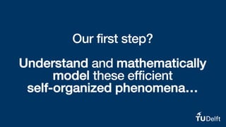 Our first step?
Understand and mathematically
model these efficient
self-organized phenomena…
 
