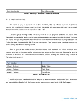 Software Project Management Plan | PDF