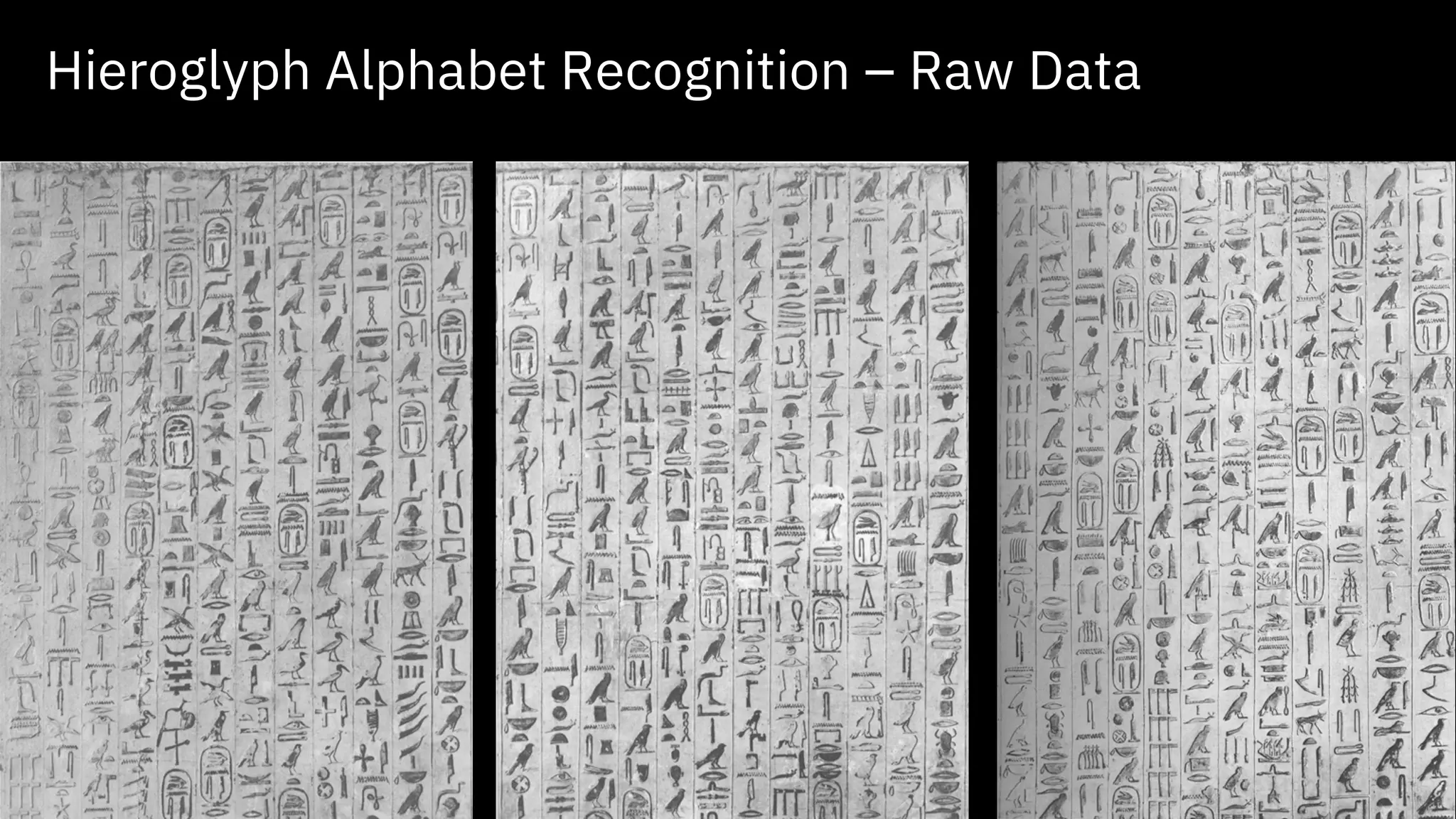 9 Hieroglyph Alphabet Recognition – Raw Data 