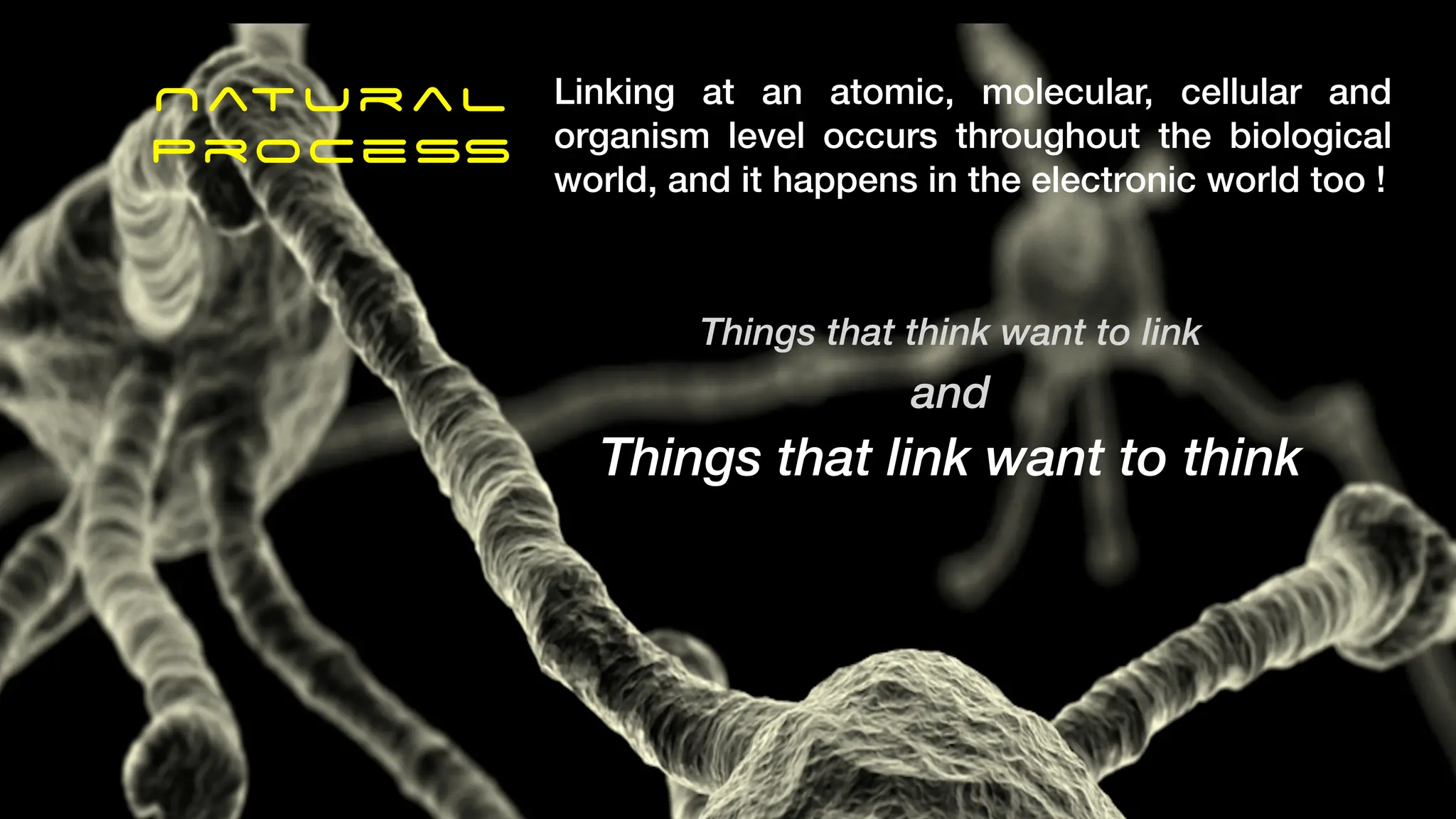 Natural
Process
Linking at an atomic, molecular, cellular and
organism level occurs throughout the biological
world, and it happens in the electronic world too !
Things that think want to link
and
Things that link want to think
 