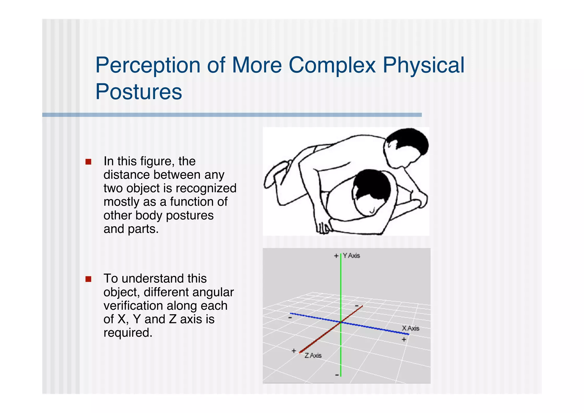 Perception of More Complex Physical
    Postures

   In this ﬁgure, the
    distance between any
    two object is recognized
    mostly as a function of
    other body postures
    and parts.


   To understand this
    object, different angular
    veriﬁcation along each
    of X, Y and Z axis is
    required.
 