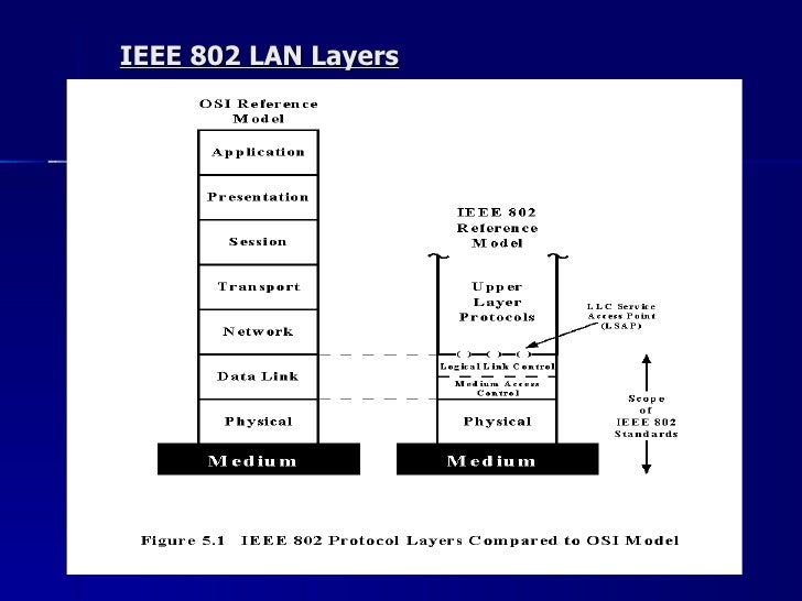 14 узловая схема ieee