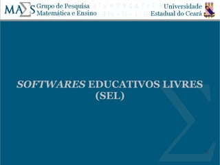 SOFTWARES EDUCATIVOS LIVRES
           (SEL)




                              23
 