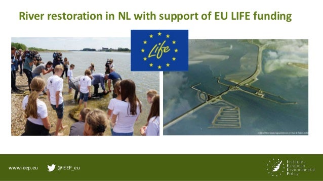 www.ieep.eu @IEEP_eu
5. Increasing EU action to tackle global biodiversity loss
• Supporting international action through ...