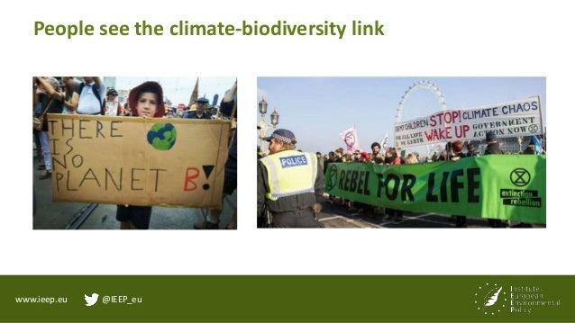 www.ieep.eu @IEEP_eu
Erik Gerritsen - egerritsen@ieep.eu
https://think2030.eu/
https://ieep.eu/work-areas/biodiversity
 