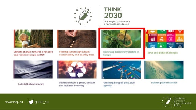 www.ieep.eu @IEEP_eu
Valuing biodiversity and reversing its decline by 2030
• Reflection paper on EU biodiversity policy f...