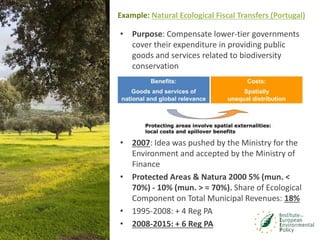Innovative mechanisms for financing biodiversity conservation | PPTX