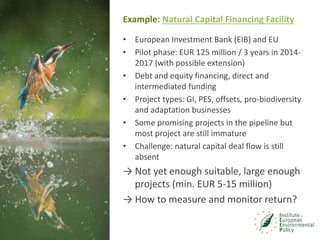 Innovative mechanisms for financing biodiversity conservation | PPTX