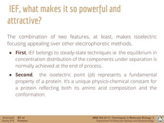 Isoelectric Focusing for high resolution separation of proteins | PPTX