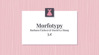 Morfotypy
Barbara Čiefová & David Le Hung
3.c
 