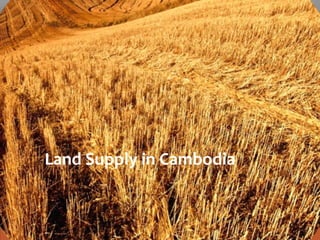 Land Supply in Cambodia
 