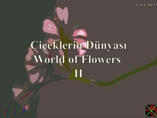 Çiçeklerin Dünyası,World of Flowers II 