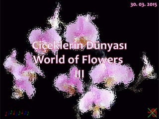 Çiçeklerin Dünyası,World of Flowers III