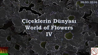 Çiçeklerin Dünyası, World of Flowers IV
