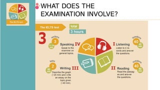WHAT DOES THE
EXAMINATION INVOLVE?
 