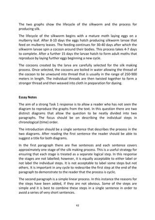 43
The two graphs show the lifecycle of the silkworm and the process for
producing silk.
The lifecycle of the silkworm begins with a mature moth laying eggs on a
mulberry leaf. After 8-10 days the eggs hatch producing silkworm larvae that
feed on mulberry leaves. The feeding continues for 30-40 days after which the
silkworm larvae spin a cocoon around their bodies. This process takes 4-7 days
to complete. After a further 15 days the larvae hatch to form adult moths that
reproduce by laying further eggs beginning a new cycle.
The cocoons created by the larva are carefully selected for the silk making
process. Once selected, the cocoons are boiled in water allowing the thread of
the cocoon to be unwound into thread that is usually in the range of 250-900
meters in length. The individual threads are then twisted together to form a
stronger thread and then weaved into cloth in preparation for dyeing.
Essay Notes
The aim of a strong Task 1 response is to allow a reader who has not seen the
diagram to reproduce the graphs from the text. In this question there are two
distinct diagrams that allow the question to be neatly divided into two
paragraphs. The focus should be on describing the individual steps in
chronological (time) order.
The introduction should be a single sentence that describes the process in the
two diagrams. After reading the first sentence the reader should be able to
suggest a title for both diagrams.
In the first paragraph there are five sentences and each sentence covers
approximately one stage of the silk making process. This is a useful strategy for
ensuring that each stage is treated as a separate logical step. In this response
the stages are not labelled; however, it is equally acceptable to either label or
not label the individual steps. It is not acceptable to label some steps but not
others. It is important in any cycle to redescribe the first step at the end of the
paragraph to demonstrate to the reader that the process is cyclic.
The second paragraph is a simple linear process. In this instance the reasons for
the steps have been added, if they are not obvious. Some of the steps are
simple and it is best to combine these steps in a single sentence in order to
avoid a series of very short sentences.
 