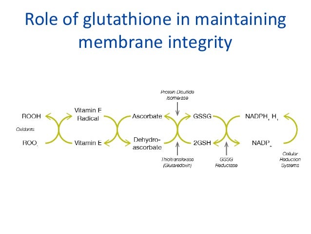 blood test errors glucose Errors of Screening Inborn metabolism for
