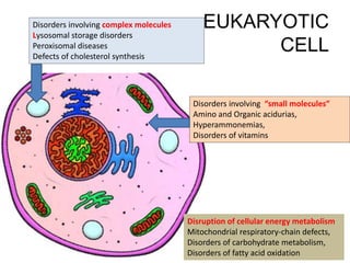 approach to Inborn errors of metabolism.pptx