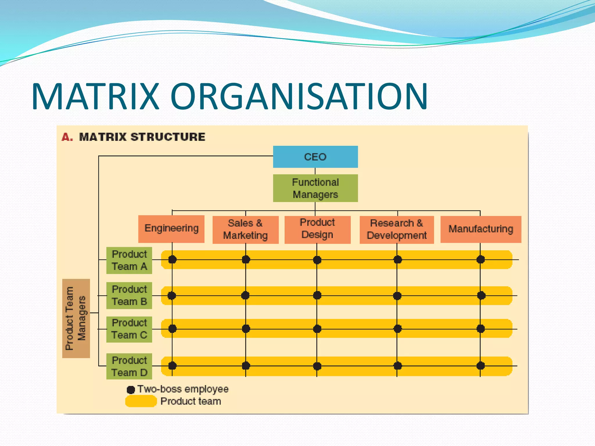 Iem organisation structures | PPTX