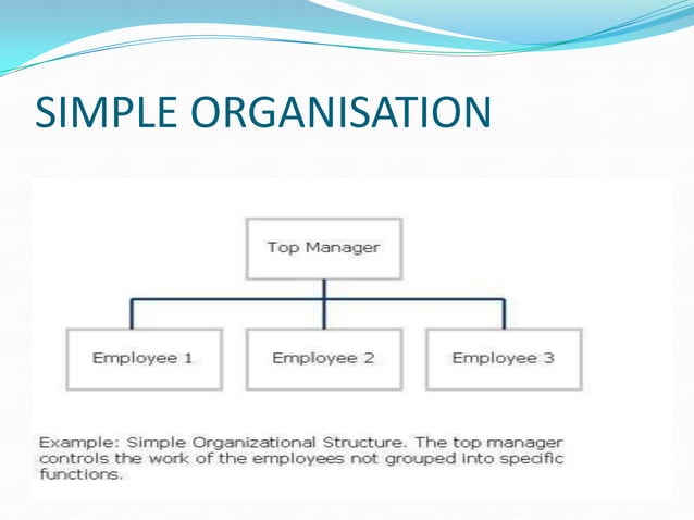 Iem organisation structures | PPT