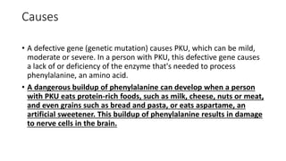 Causes
• A defective gene (genetic mutation) causes PKU, which can be mild,
moderate or severe. In a person with PKU, this defective gene causes
a lack of or deficiency of the enzyme that's needed to process
phenylalanine, an amino acid.
• A dangerous buildup of phenylalanine can develop when a person
with PKU eats protein-rich foods, such as milk, cheese, nuts or meat,
and even grains such as bread and pasta, or eats aspartame, an
artificial sweetener. This buildup of phenylalanine results in damage
to nerve cells in the brain.
 