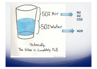 N2
O2
CO2



H2O
 