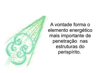A vontade forma o
elemento energético
 mais importante de
  penetração nas
    estruturas do
     perispírito.
 