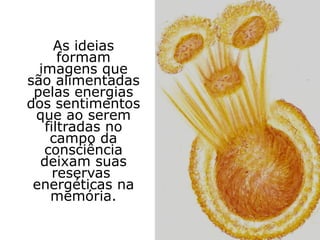 As ideias
      formam
  imagens que
são alimentadas
 pelas energias
dos sentimentos
 que ao serem
   filtradas no
    campo da
   consciência
  deixam suas
     reservas
 energéticas na
    memória.
 