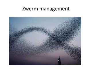 Zwerm management
 