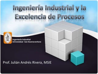 Prof. Julián Andrés Rivera, MSIE
Ingeniería Industrial
Universidad San Buenaventura
 