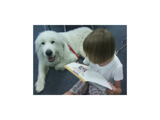 IEP therapy dog session