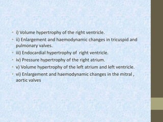 • i) Volume hypertrophy of the right ventricle.
• ii) Enlargement and haemodynamic changes in tricuspid and
pulmonary valves.
• iii) Endocardial hypertrophy of right ventricle.
• iv) Pressure hypertrophy of the right atrium.
• v) Volume hypertrophy of the left atrium and left ventricle.
• vi) Enlargement and haemodynamic changes in the mitral ,
aortic valves
 