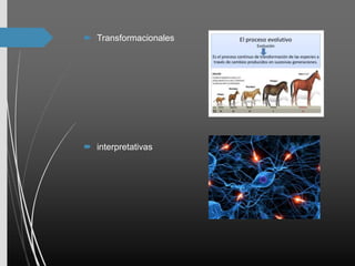  Transformacionales
 interpretativas
 