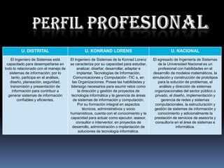 PERFIL PROFESIONAL