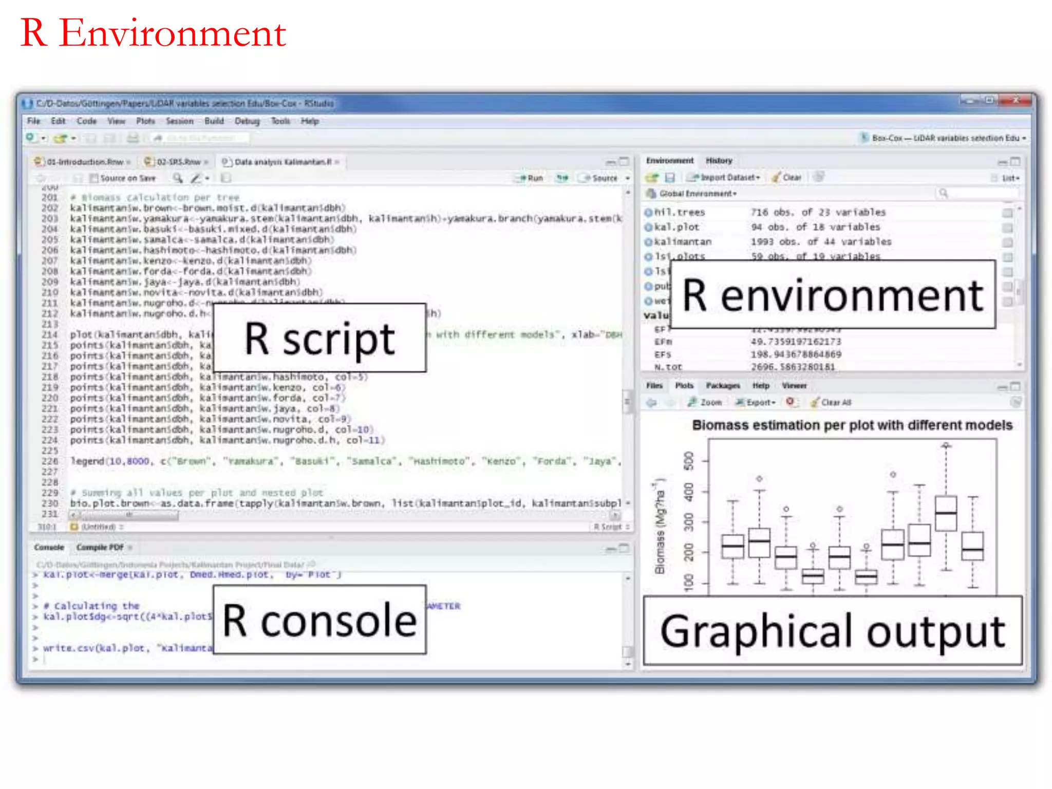  R vs Stata vs Excel
R Environment
 